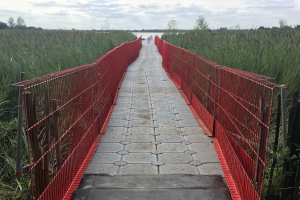 Pontoon walkway