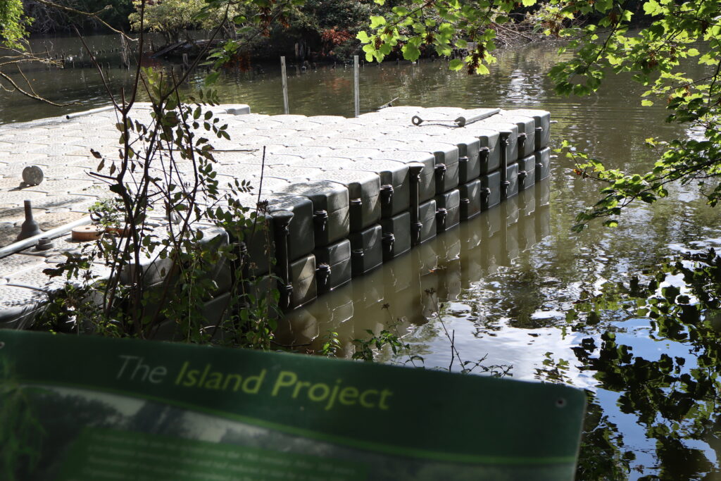 Double-stacked modular floating pontoon installed on a wooded river beside The Island Project.